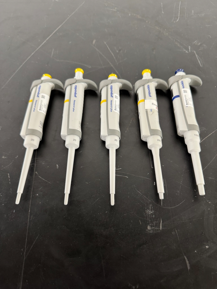 Image of Eppendorf Research Plus Single Channel Pipettes - Quantity 5